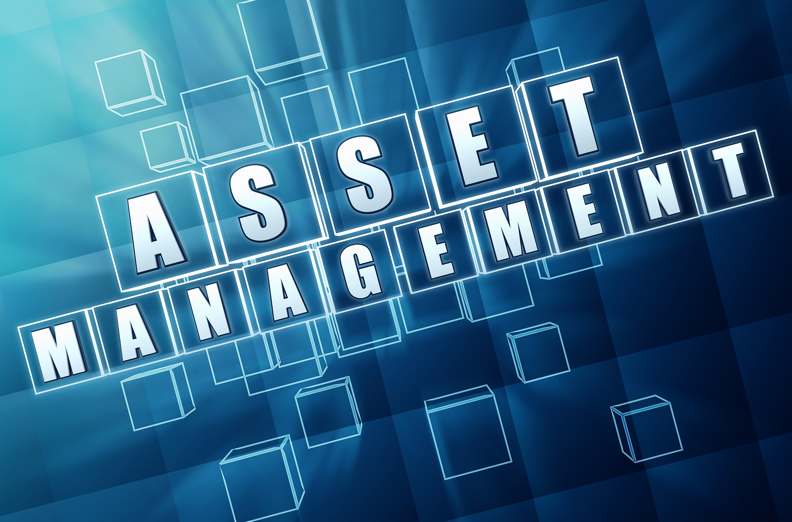 asset-management-analyst