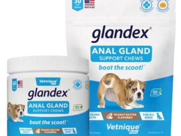 dog anal gland supplement