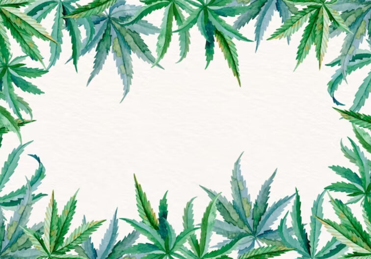 medical marijuana card